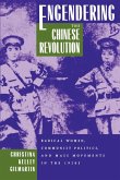 Engendering the Chinese Revolution (eBook, ePUB)