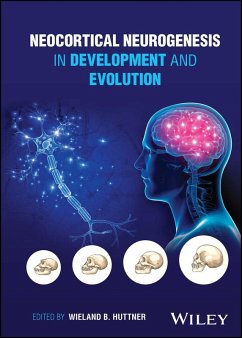 Neocortical Neurogenesis in Development and Evolution (eBook, PDF)