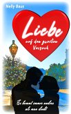 Liebe auf den zweiten Versuch (eBook, ePUB)