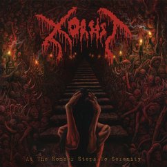 At The Somber Steps Of Serenity - Xorsist