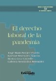 El derecho laboral de la pandemia (eBook, ePUB)