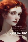 Marshmallow (eBook, ePUB)