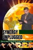 Synergy Unplugged: How to Make Teams Work Seamlessly and Successfully (eBook, ePUB)