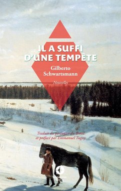 Il a suffi d'une tempête - Schwartsmann, Gilberto; Tugny, Emmanuel