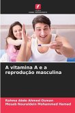 A vitamina A e a reprodução masculina