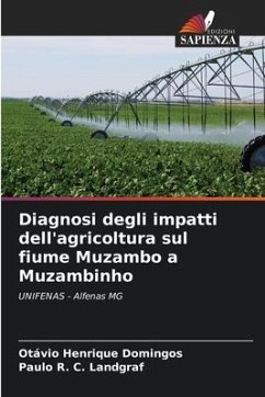 Diagnosi degli impatti dell'agricoltura sul fiume Muzambo a Muzambinho - Domingos, Otávio Henrique;C. Landgraf, Paulo R.