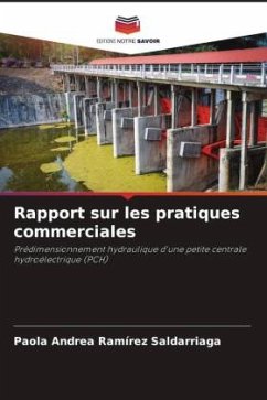 Rapport sur les pratiques commerciales - Ramírez Saldarriaga, Paola Andrea