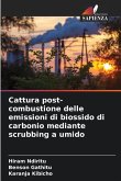 Cattura post-combustione delle emissioni di biossido di carbonio mediante scrubbing a umido