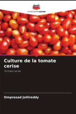 Culture de la tomate cerise - Jollireddy, Omprasad