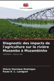 Diagnostic des impacts de l'agriculture sur la rivière Muzambo à Muzambinho