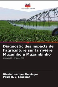 Diagnostic des impacts de l'agriculture sur la rivière Muzambo à Muzambinho - Domingos, Otávio Henrique;C. Landgraf, Paulo R.