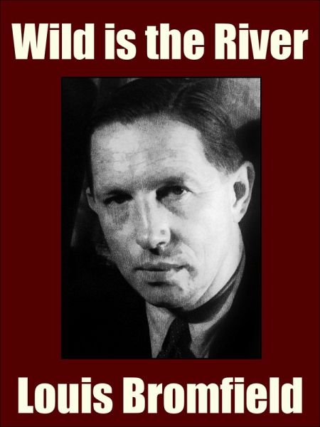 Wild is the River (eBook, ePUB)