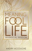 Meaningfool: Life (eBook, ePUB)