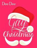 Gay Christmas (eBook, ePUB)