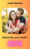 Schick ihn zum Teufel! (eBook, ePUB)