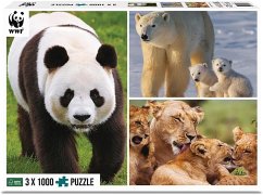 Cover Ambassador 7230028 - Säugetiere 3x1000 Teile