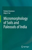 Micromorphology of Soils and Paleosols of India