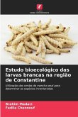 Estudo bioecológico das larvas brancas na região de Constantine