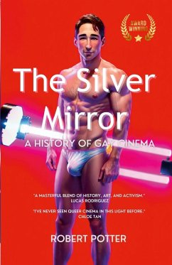 The Silver Mirror - Potter, Robert