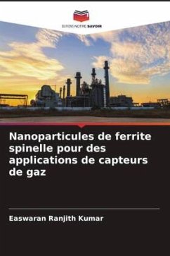 Cover Nanoparticules de ferrite spinelle pour des applications de capteurs de gaz