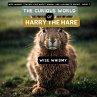 The Curious World of Harry the Hare - Bild 1