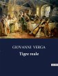 Tigre reale - Bild 1