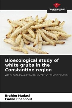 Bioecological study of white grubs in the Constantine region - Madaci, Brahim;Chennouf, Fadila