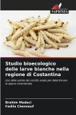 Studio bioecologico delle larve bianche nella regione di Costantina