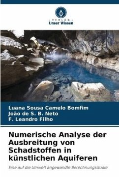Numerische Analyse der Ausbreitung von Schadstoffen in künstlichen Aquiferen - Sousa Camelo Bomfim, Luana;de S. B. Neto, João;Leandro Filho, F.