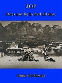 JOP - Does not lie in bed all day. (eBook, ePUB)