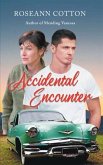 Accidental Encounter (eBook, ePUB)