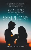 Soul's Symphony (eBook, ePUB)