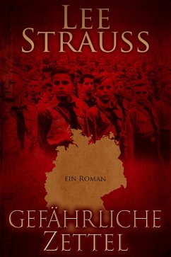 Gefährliche Zettel (Playing with Matches) (eBook, ePUB) - Strauss, Lee