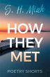 How They Met (eBook, ePUB) - Bild 1