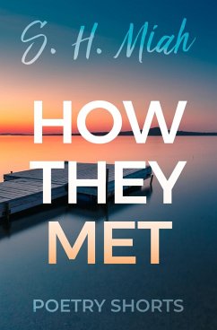 Cover How They Met (eBook, ePUB)