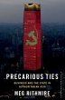 Precarious Ties (eBook, PDF) - Bild 1