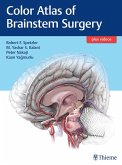 Color Atlas of Brainstem Surgery (eBook, ePUB)