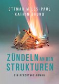 Zündeln an den Strukturen (eBook, ePUB)