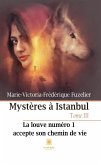 Mystères à Istanbul - Tome 3 (eBook, ePUB)