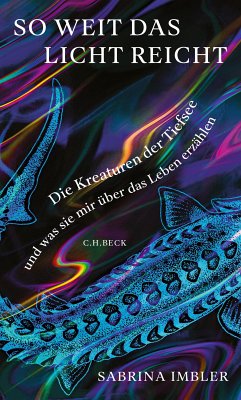 So weit das Licht reicht (eBook, ePUB) - Imbler, Sabrina