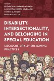 Disability, Intersectionality, and Belonging in Special Education (eBook, ePUB)