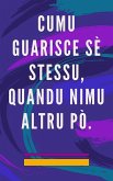 Cumu Guarisce sè Stessu, Quandu Nimu Altru pò. (eBook, ePUB)