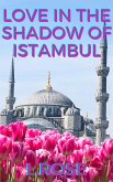 Love in the Shadow of Istanbul (eBook, ePUB)