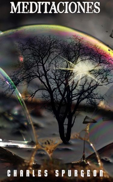 Meditaciones (eBook, ePUB) Meditaciones (eBook, ePUB)