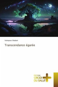 Cover Transcendance égarée