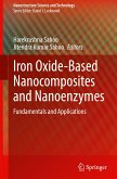 Iron Oxide-Based Nanocomposites and Nanoenzymes