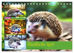 Niedliche Igel (Tischkalender 2024 DIN A5 quer), CALVENDO Monatskalender - Lehmann, Steffani