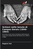 Schiavi nelle tenute di Campos Gerais (1846-1864)
