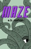 Maze (eBook, ePUB)