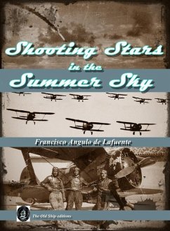 Cover Shooting Stars in the Summer Sky (eBook, ePUB)